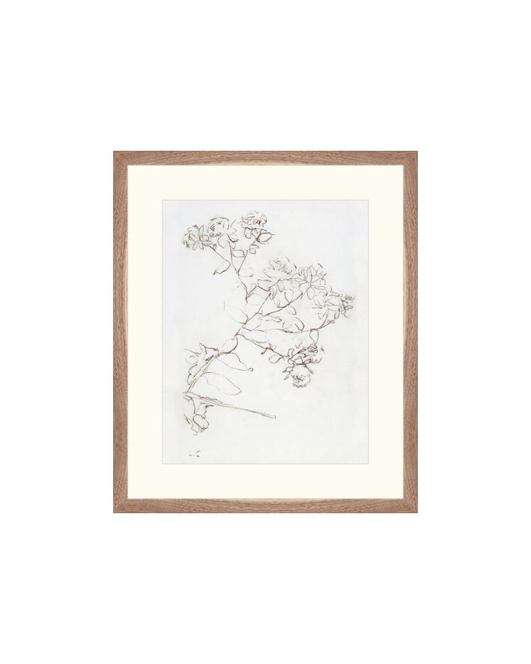 Botanical Study II HoJ