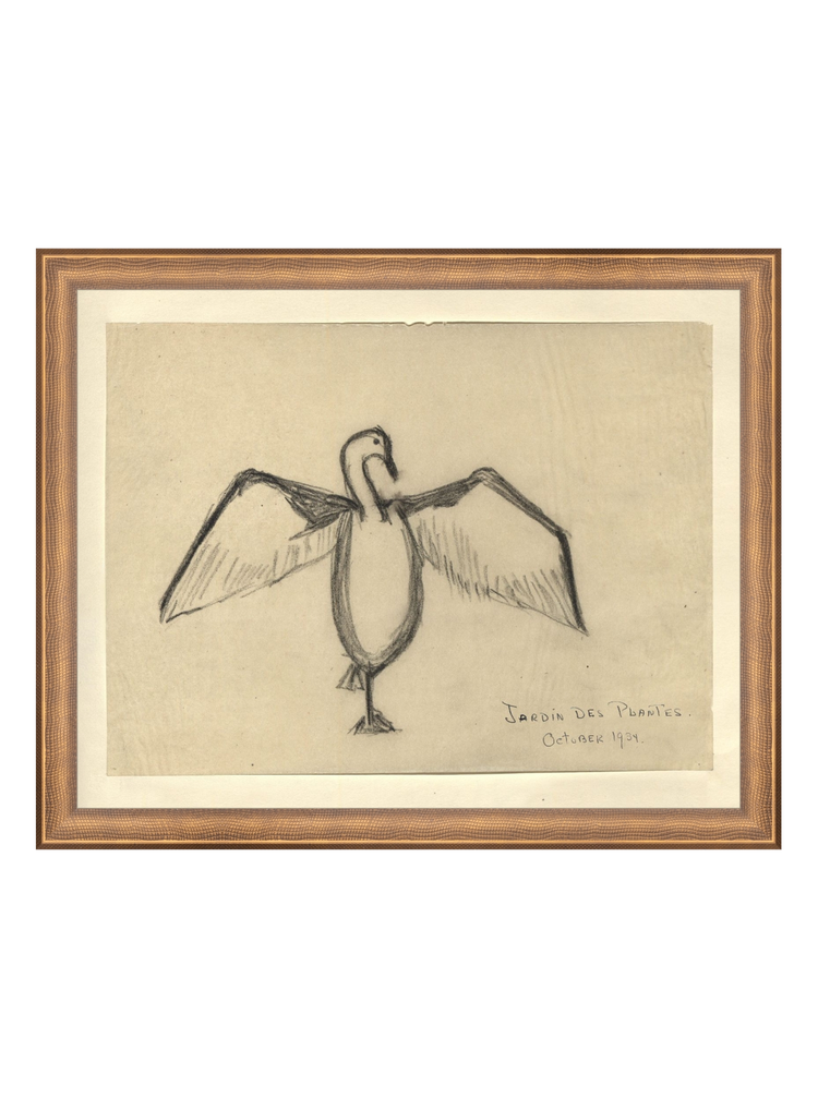 The Great Cormorant HoJ 2