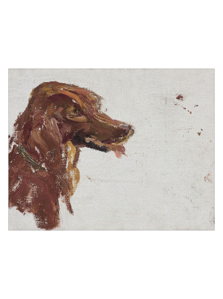 Dog Study HoJ 2
