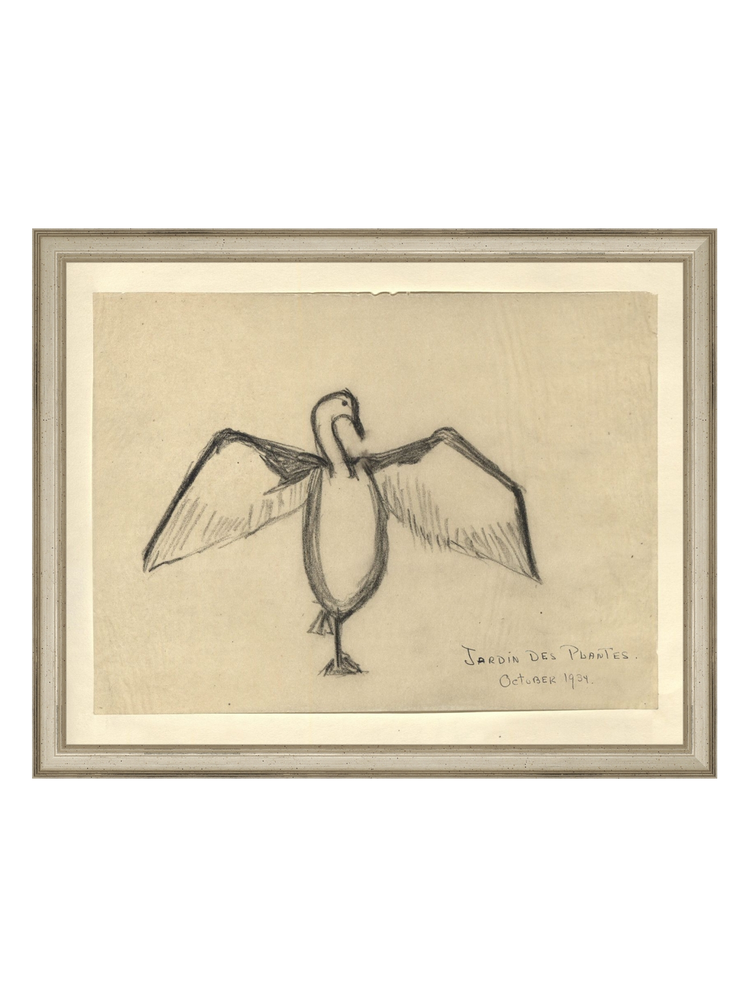 The Great Cormorant HoJ 2