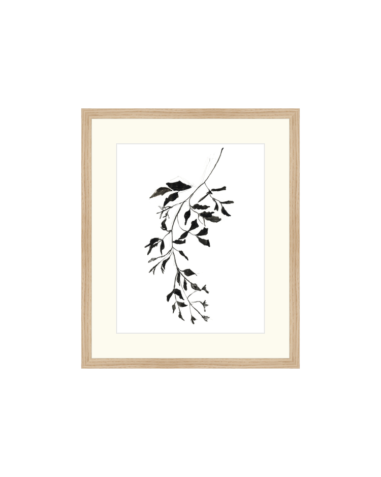 Botanical Ink Study II HoJ