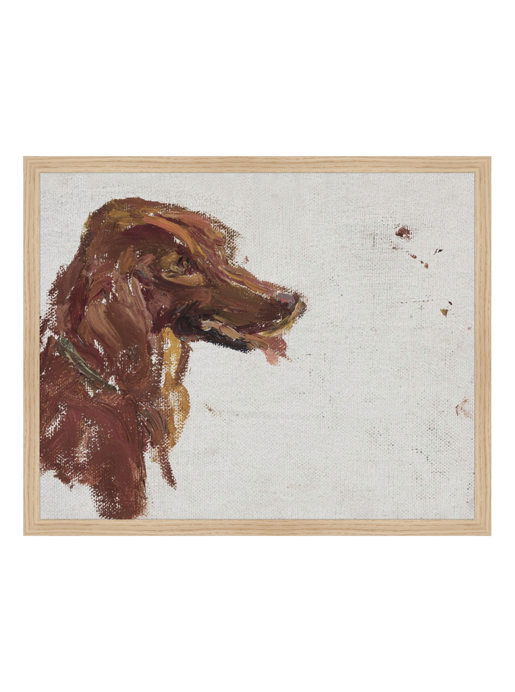 Dog Study HoJ 2