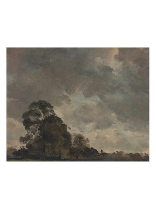 Trees on the Horizon HoJ 2