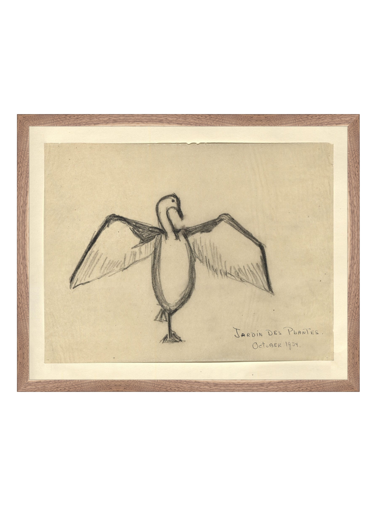 The Great Cormorant HoJ 2