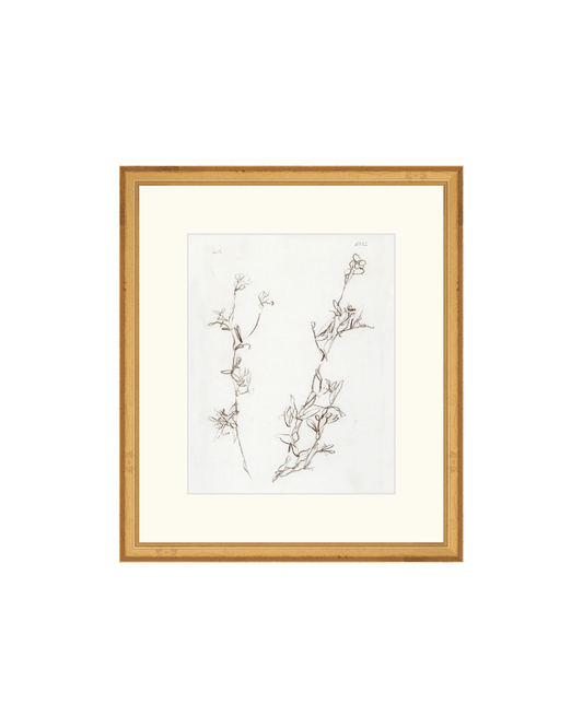 Botanical Study I HoJ