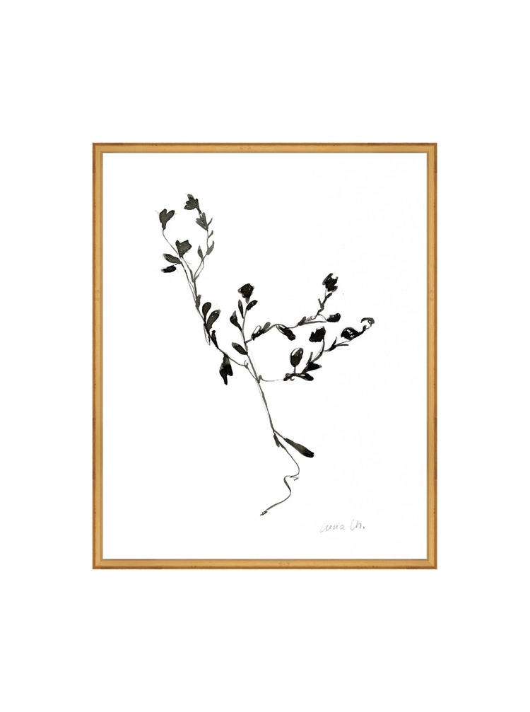 Sketched Botanical HoJ 2