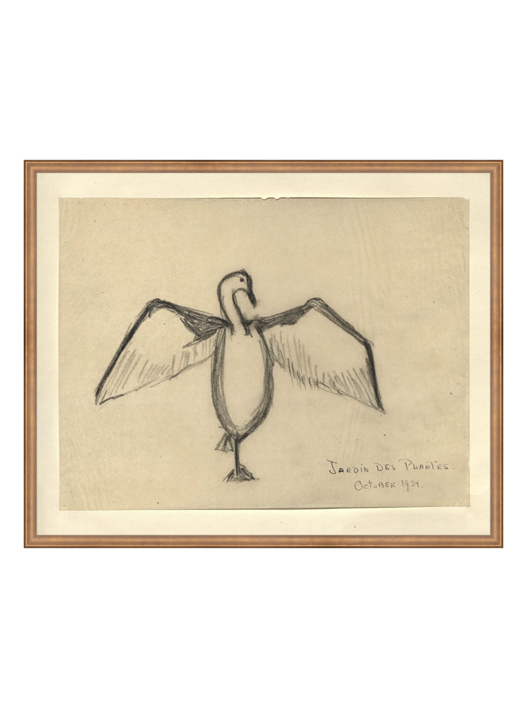 The Great Cormorant HoJ 2