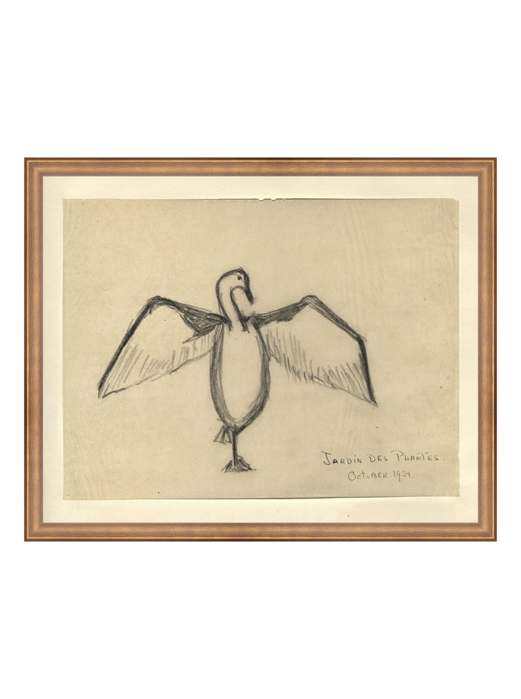 The Great Cormorant HoJ 2