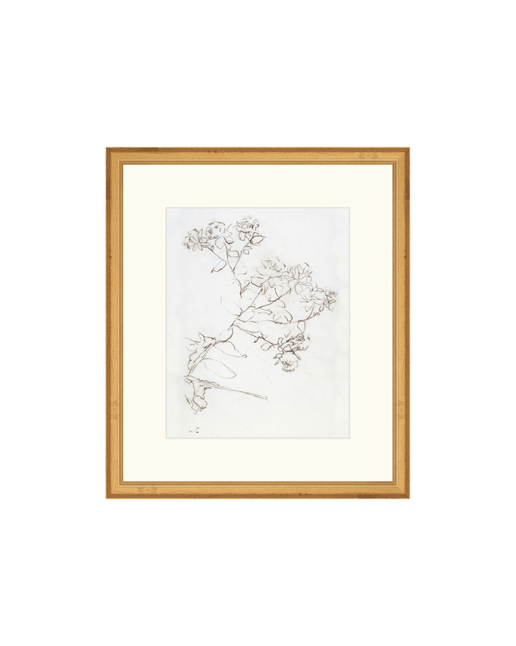 Botanical Study II HoJ