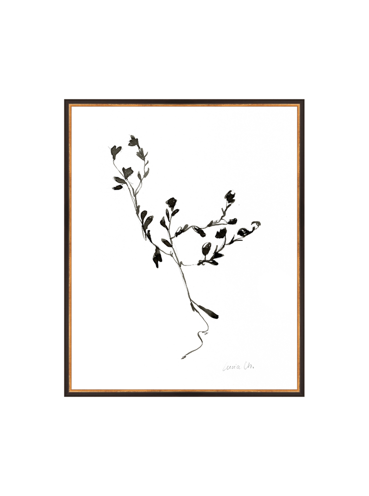 Sketched Botanical HoJ 2