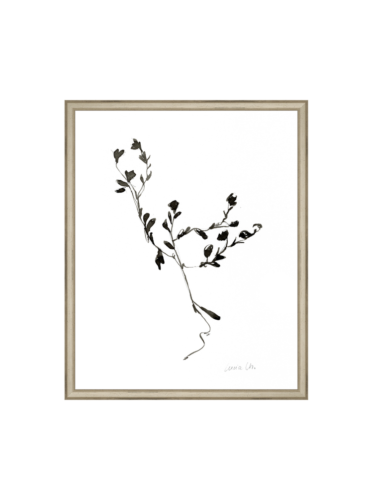 Sketched Botanical HoJ 2