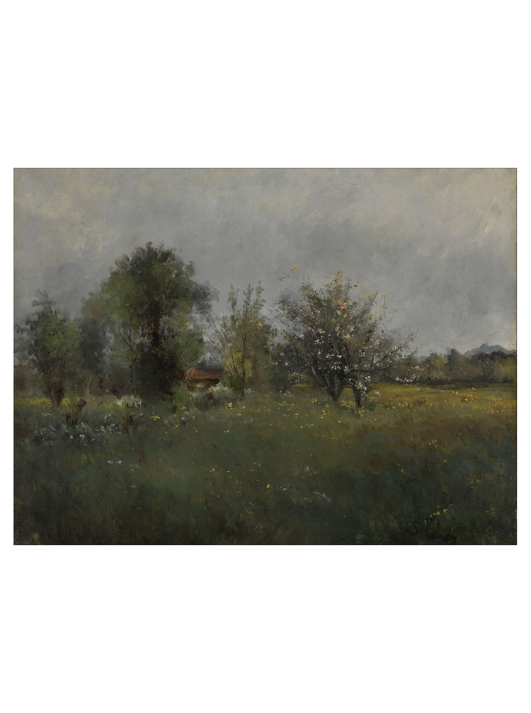 Spring Meadow II HoJ 2