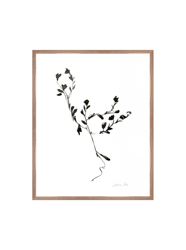 Sketched Botanical HoJ 2