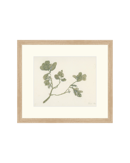 Pastel Mistletoe HoJ