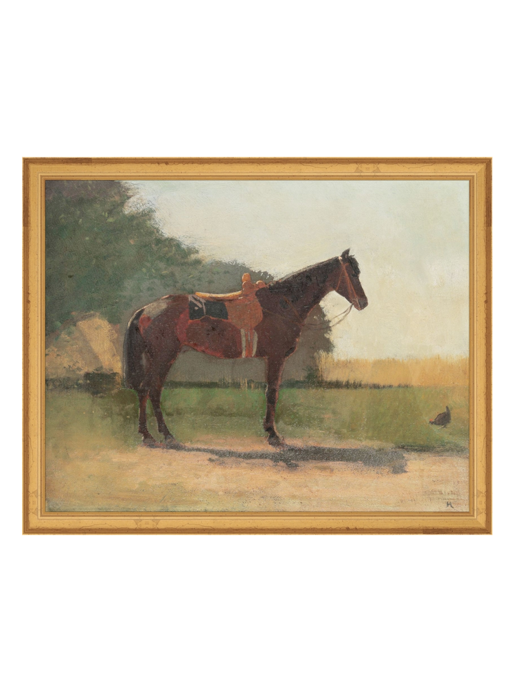 Horse in a Farm HoJ 2