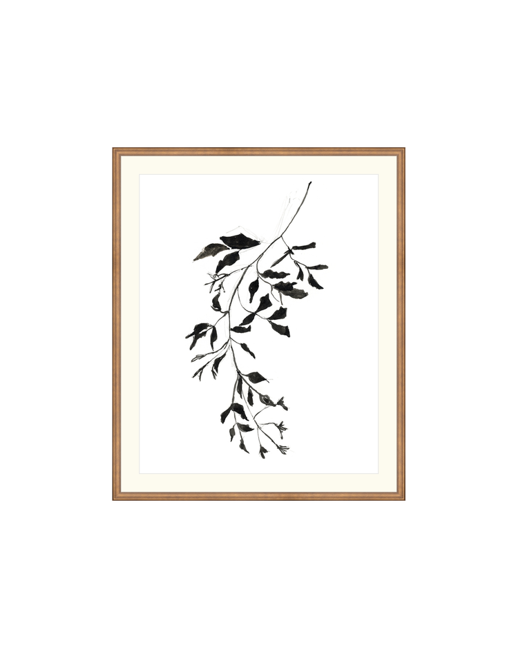 Botanical Ink Study II HoJ