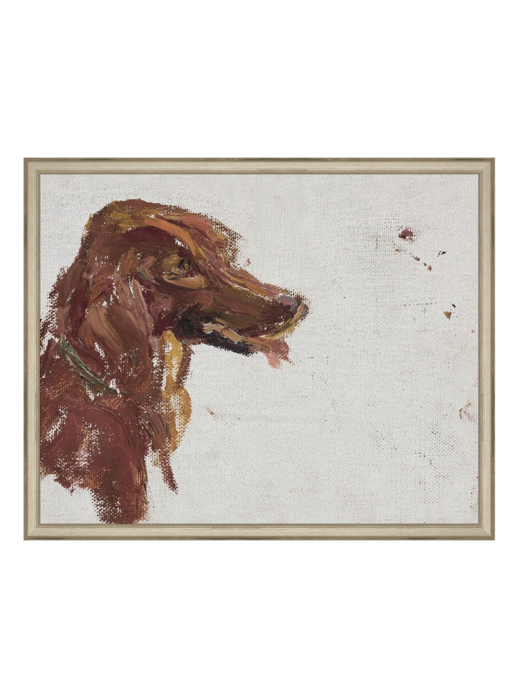 Dog Study HoJ 2