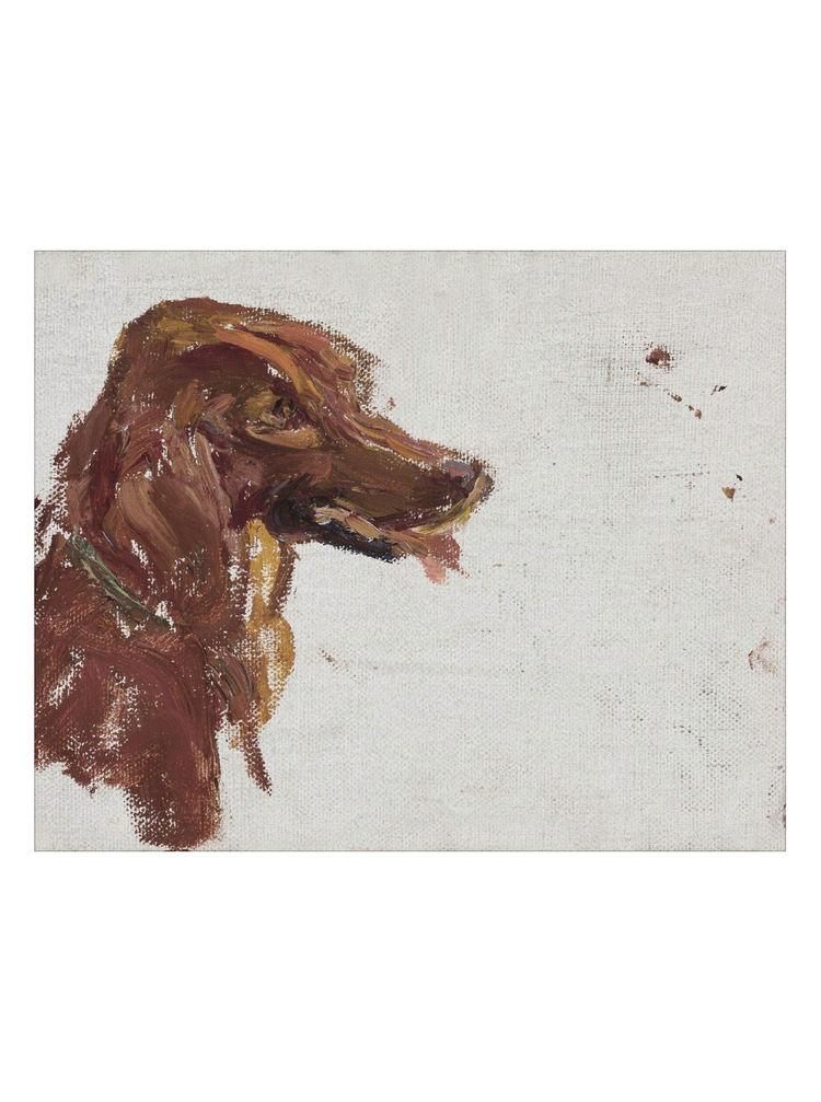 Dog Study HoJ 2