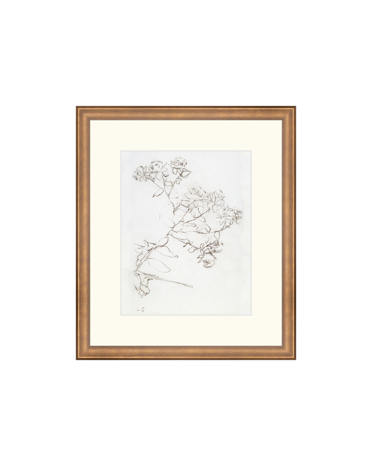 Botanical Study II HoJ