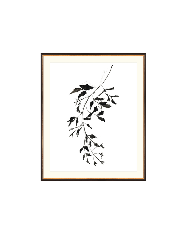 Botanical Ink Study II HoJ