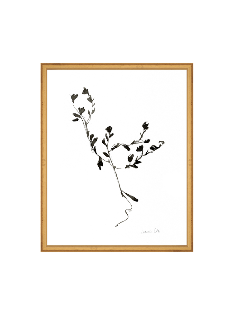 Sketched Botanical HoJ 2